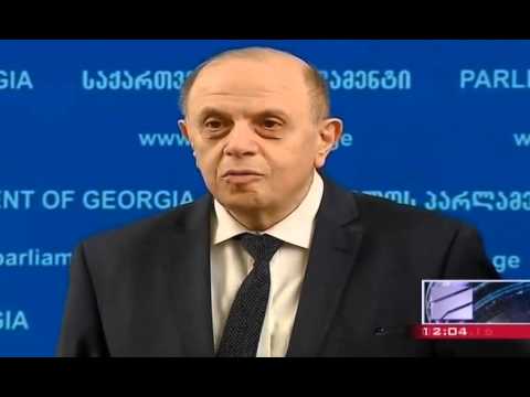 ლევან ბერძენიშვილის კომენტარი ორპარტიულ თანამშრომლობაზე
