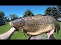 Bow Fishing for Carp in Wisconsin