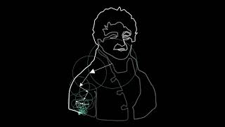 Fourier Animation