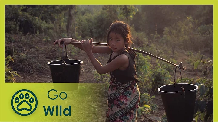 Laos Wonderland (full documentary) - Go Wild - DayDayNews