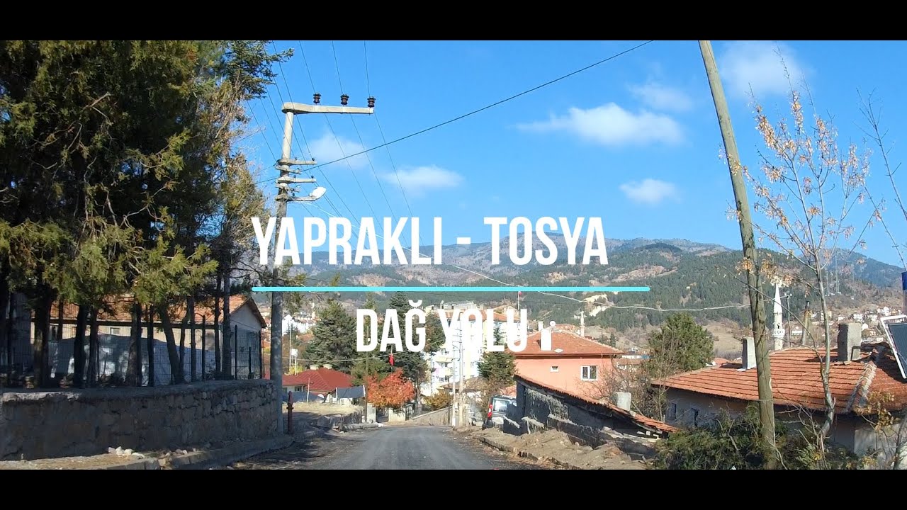 YAPRAKLI TOSYA DAĞ YOLU