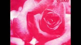 The Wake - Crush The Flowers (Audio) chords