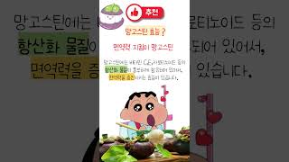 여름 과일 추천! 저속노화 과일 망고스틴 효능 #망고스틴#여름과일#여름#과일추천#망고스틴효능#저속노화#저속노화과일