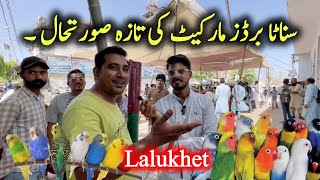 Lalukhet Birds market 2024 latest update in Urdu Hindi | Sunday birds market Karachi 2024 new video