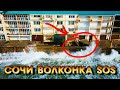 СОЧИ ВОЛКОНКА SOS!!! Эллинги в Волконке РАЗРУШЕНЫ!!!