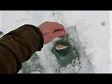 5 дней в тайге \ ХАРИУС на лесной речке \ Часть 1 \ Пробиваем дорогу к новым местам