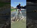 fish catching survive. মাছ ধরে বেঁচে থাকে#fishing #foryou @Adifhising
