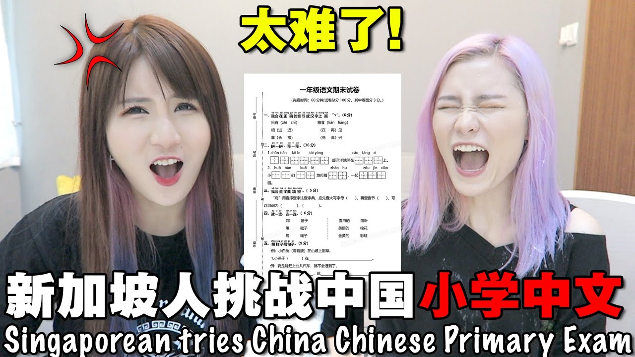 太丢脸! 新加坡人挑战中国小学考试题目 竟然不及格?! 新加坡人中文这么烂吗?