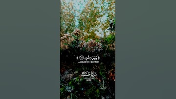 قرآن كريم #ارح_قلبك #قرآن #المصحف #قران_كريم #اكسبلور #لايك