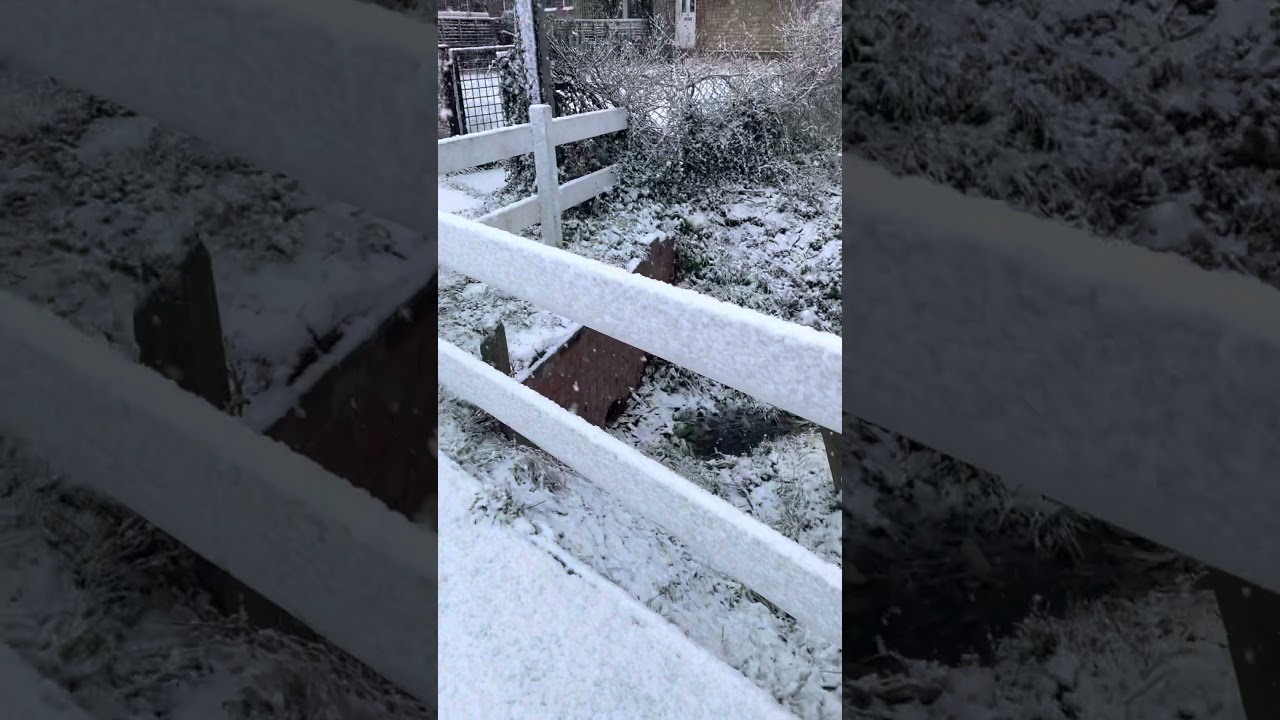 Snow storm North Kelsey 02/12/2021