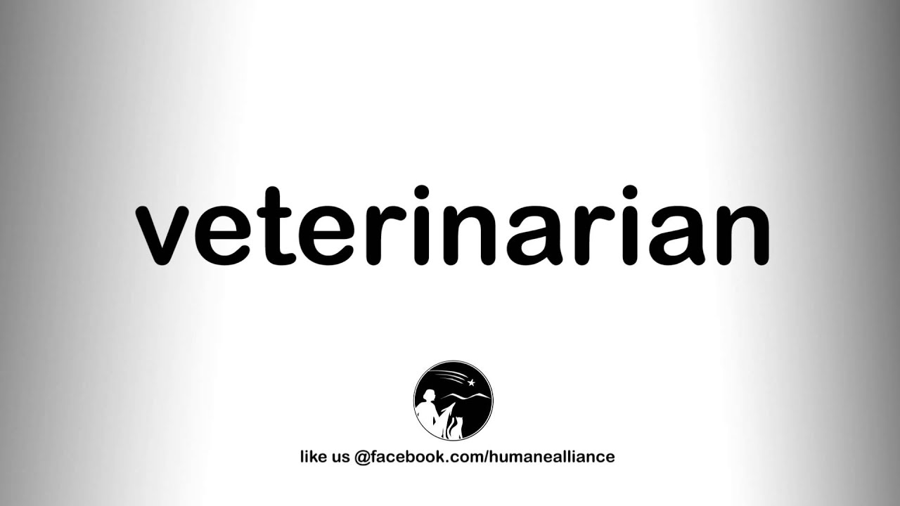 How to Pronounce Veterinarian YouTube