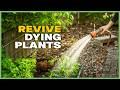 The Fastest Way To Fix Dry Soil