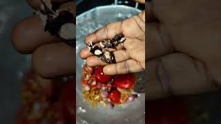 Temple taste kadala pappu chutney recipe Hack 💗 #ammaspecials #ammachutney #foodvlog