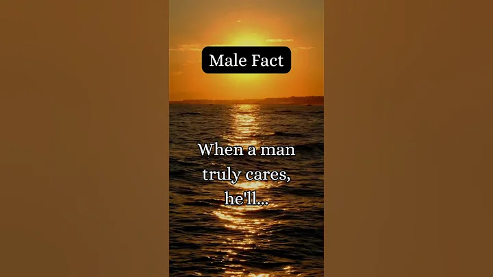 A Journey of Inspiration #shortvideo #laughingwithpets #shortvideos #shortvideo_ #shortvideoyoutube