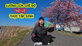 Sự Thật Mức Lương Của Thực Tập Sinh Nhật Bản || Vỡ mộng giấc mơ đổi đời nhờ đi xklđ Nhật Bản !!