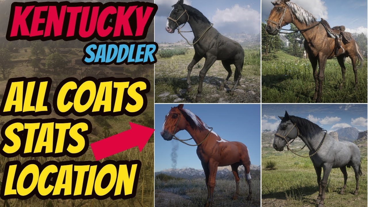 RED DEAD REDEMPTION 2 - Localização Cavalo Kentucky Saddler #jogos #ga