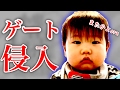 ゲート侵入 意外な方法( ° Д ° ;; 【ベビーフェンス】【ベビーゲート】
