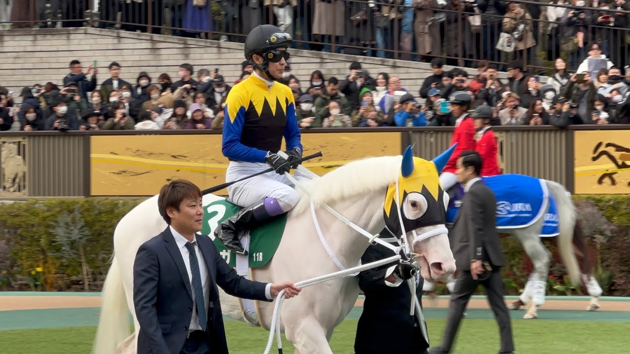 武豊騎手パドック騎乗 マルガ  ベレーバスク ストレングス フェデラー　東京競馬場2026年2月10日14日