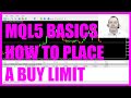 MQL5 TUTORIAL BASICS - 14 HOW TO PLACE A BUY LIMIT