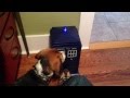 Beagle vs TARDIS