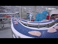 Wall to wall processing and packing of fresh chicken wipasz poland