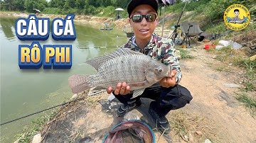 Câu Cá Rô Phi Cuốn Ổ ở Hồ Câu Thanh Xuân - Vĩnh Phúc