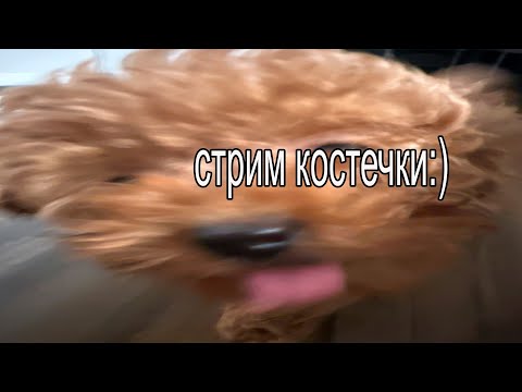 СТРИМ СОЗДАТЕЛЯ РОЛЕЙ AMONG US MINECRAFT 2024! СТРИМ КОСТЕЧКИ SIU