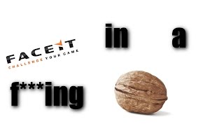 FACEIT in a NUTSHELL