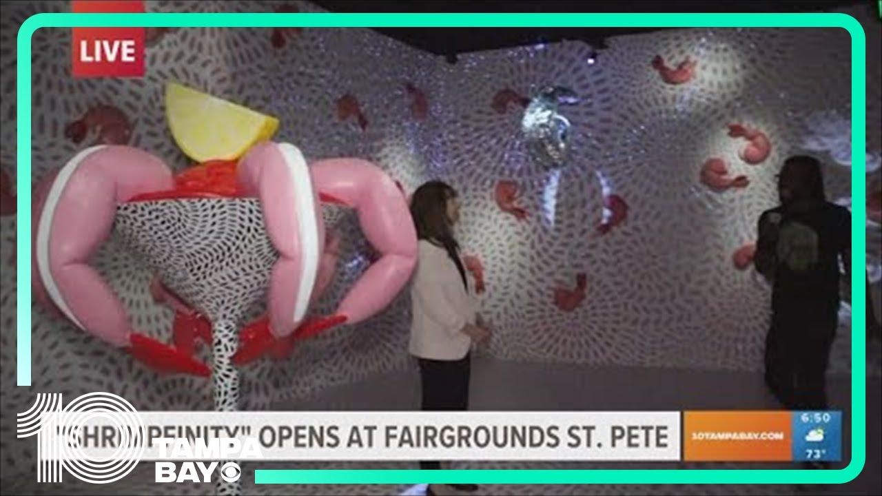 New interactive 'Shrimfinity' exhibit at Fairgrounds St. Pete