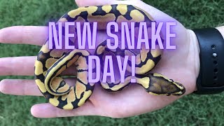 Epic Snake Unboxing!! And Fixing a Mistake!