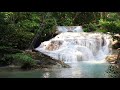 Flowing river with relaxing nature sounds  music vibes ak