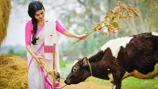 bohag Bihu status video 2023|| bohag Bihu status video||#bohagbihustatus#whatsappstatus#rangalibihu