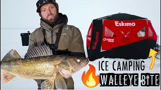Ice Fishing a CRAZY Walleye Bite While ICE CAMPING!