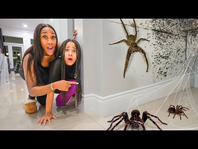 Extreme SPIDER Joke on FAMILY! class=