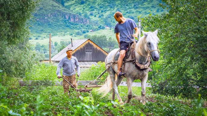 Гей секс әзілдері