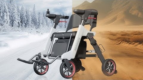 Roamate Mobility Device Perfect Travel Companion