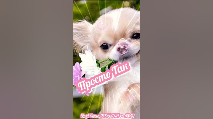 🌸Приветик, Это Тебе! Открытки Доброе Утро! #shorts