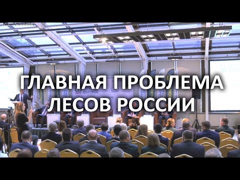Главная проблема лесного хозяйства России