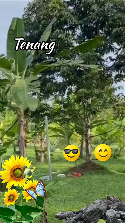 Kebun ku kampung ku