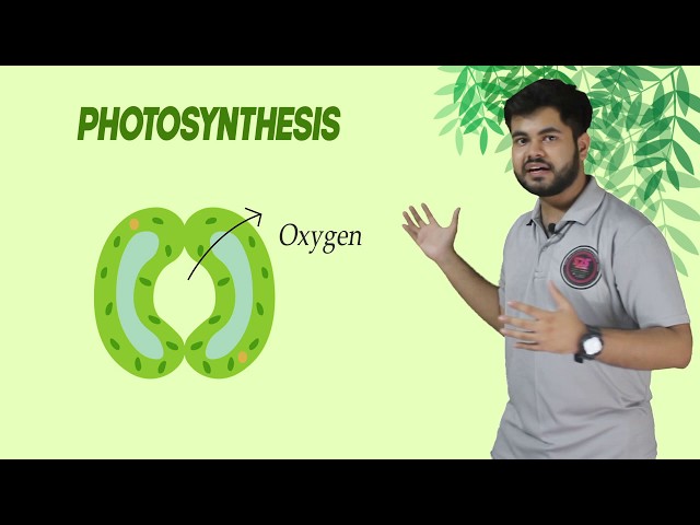 Class 7 Science Ch -1 Nutrition in Plants -  Photosynthesis I Class 6 to 10 I Food Process in Plant