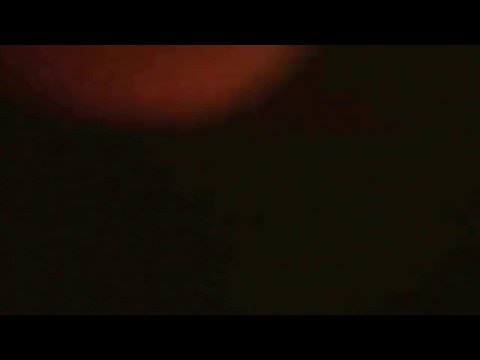 🌃Cancún de Noche // Vida Nocturna - Zona de Bares 🍻// Zona Hotelera🏨🛎