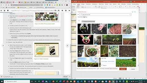 PowerPoint Ch 2 PP 2 1step 9 to end
