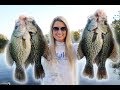 Fishing for Crappie with LIVE MINNOWS!!