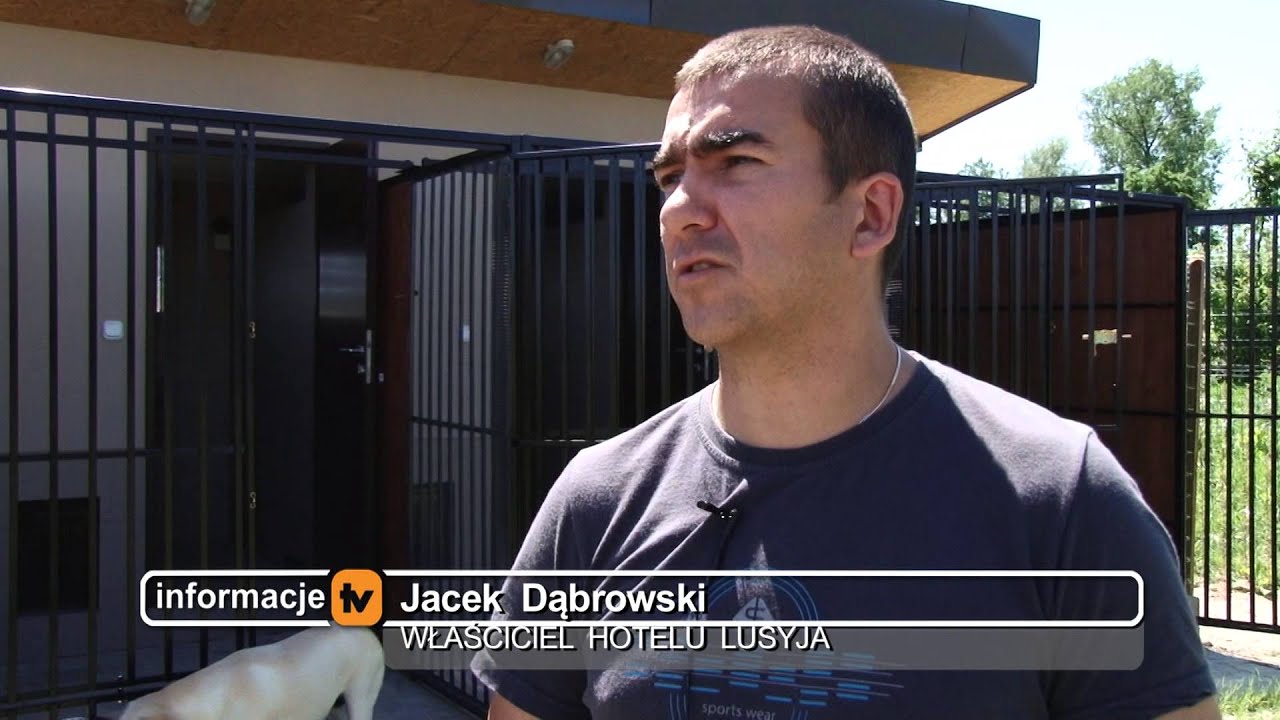 Hotel dla psów pomysł na biznes i pasja