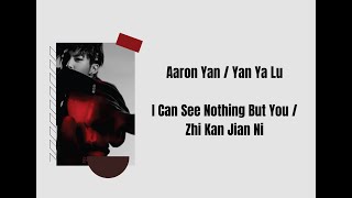 Aaron Yan (Yan Ya Lu / 炎亚纶) - I Can See Nothing But You (Zhi Kan Jian Ni / 只看见你) (Romaji Lyrics)