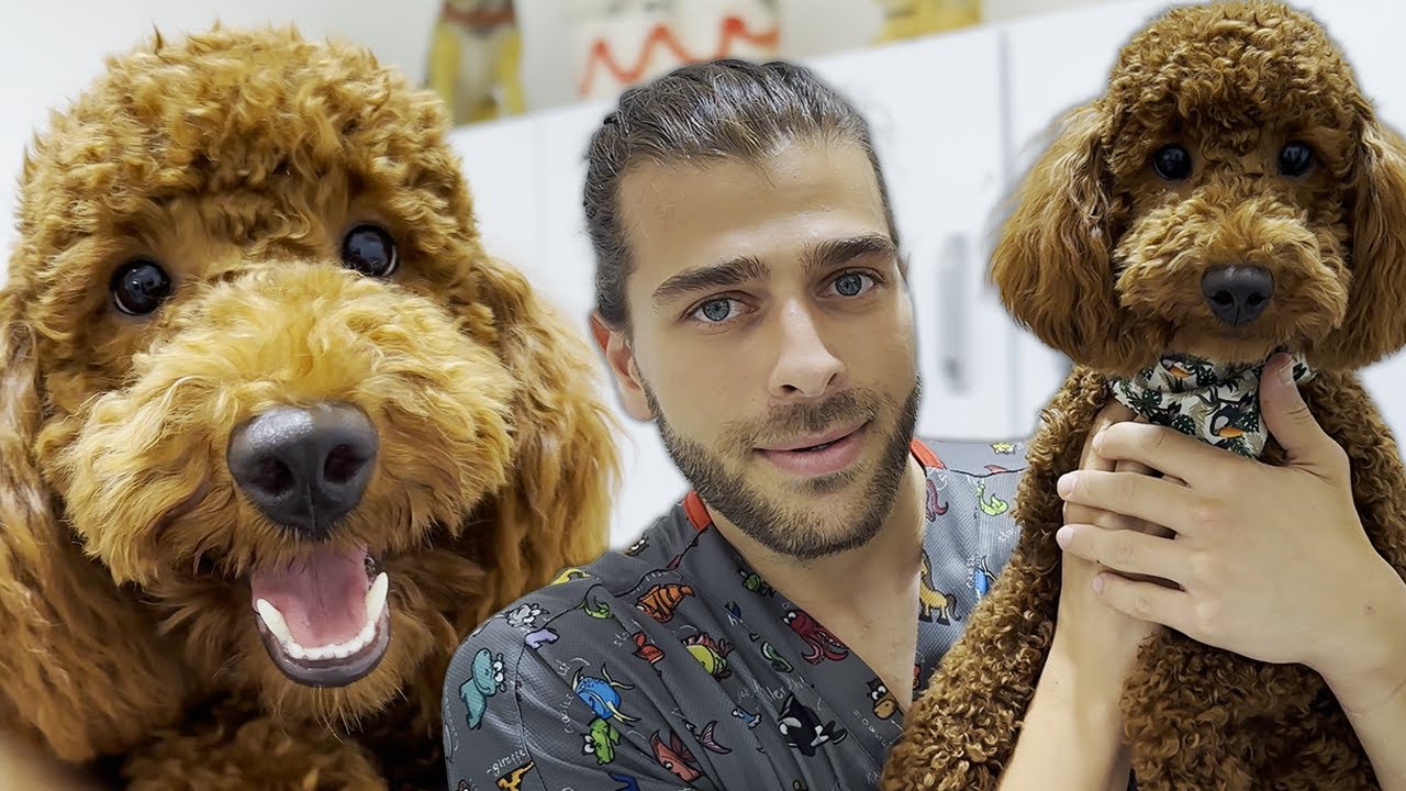 Xitoy anal pornosini tomosha qiling