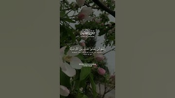 📜 آية قصيرة من سورة الجاثية | تلاوة مؤثرة بصوت طارق محمد