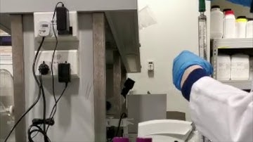 Standard Curve, UV measurement and absorbance plotting