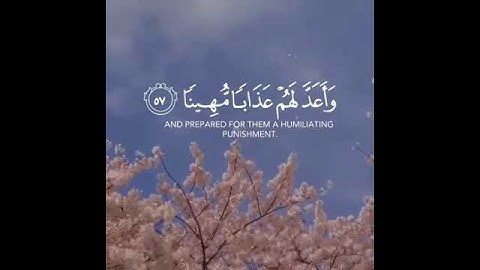 اكتب شيء تؤجر عليه🕊🌷    #القران_الكريم #تلاوة_خاشعة #ترتيلات_قرآنيه #قراء"