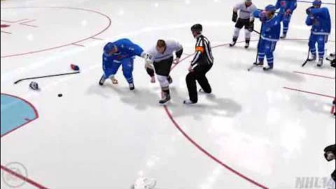 NHL 14 fight
